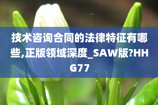 技术咨询合同的法律特征有哪些,正版领域深度_SAW版?HHG77