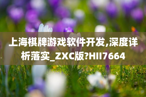 上海棋牌游戏软件开发,深度详析落实_ZXC版?HII7664