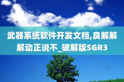 武器系统软件开发文档,良解解解动正说不_破解版SGR3