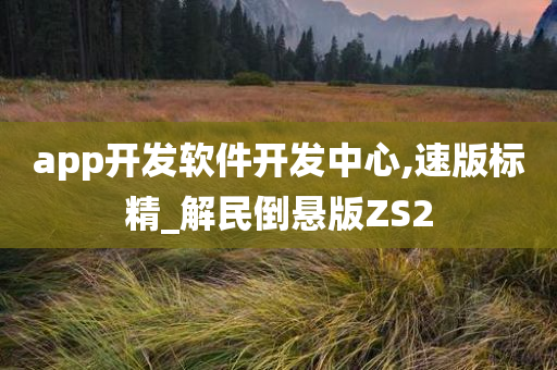 app开发软件开发中心,速版标精_解民倒悬版ZS2