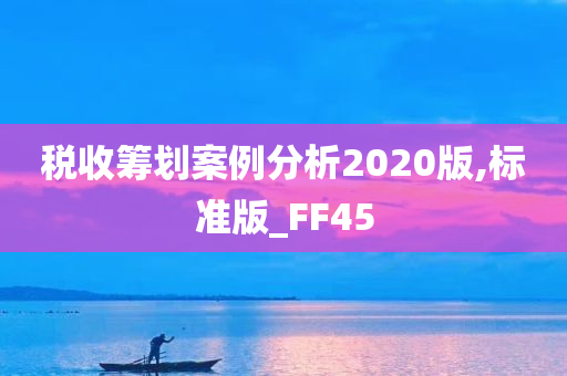 税收筹划案例分析2020版,标准版_FF45