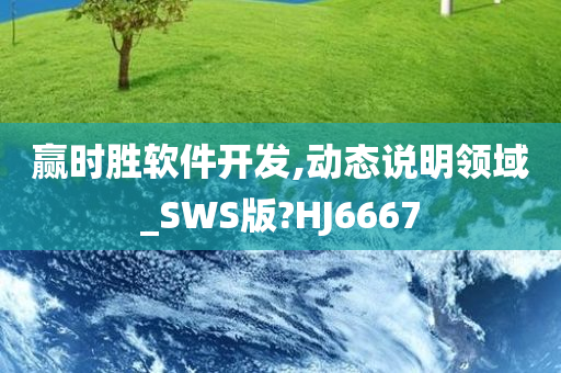 赢时胜软件开发,动态说明领域_SWS版?HJ6667