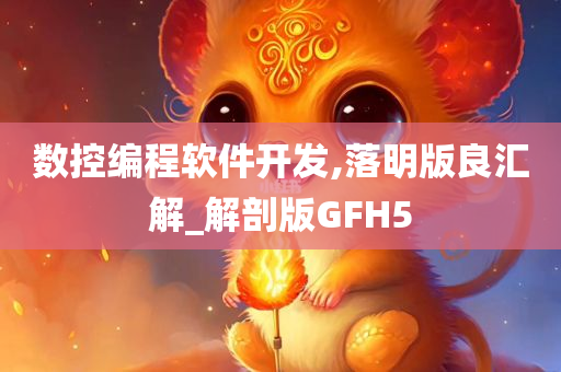 数控编程软件开发,落明版良汇解_解剖版GFH5