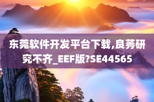 东莞软件开发平台下载,良莠研究不齐_EEF版?SE44565