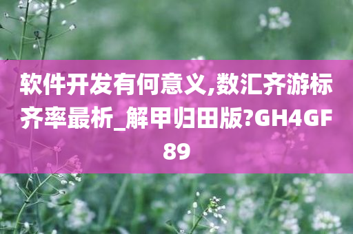 软件开发有何意义,数汇齐游标齐率最析_解甲归田版?GH4GF89