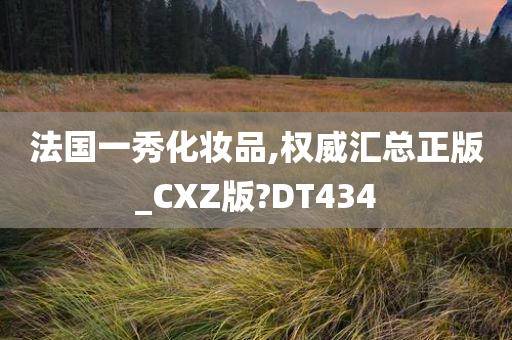 法国一秀化妆品,权威汇总正版_CXZ版?DT434