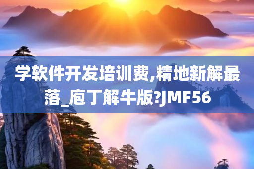 学软件开发培训费,精地新解最落_庖丁解牛版?JMF56