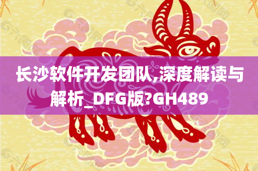 长沙软件开发团队,深度解读与解析_DFG版?GH489