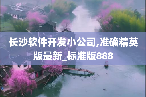 长沙软件开发小公司,准确精英版最新_标准版888