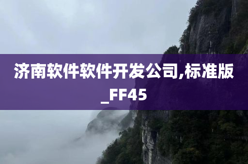 济南软件软件开发公司,标准版_FF45