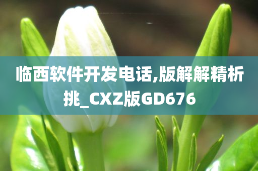 临西软件开发电话,版解解精析挑_CXZ版GD676