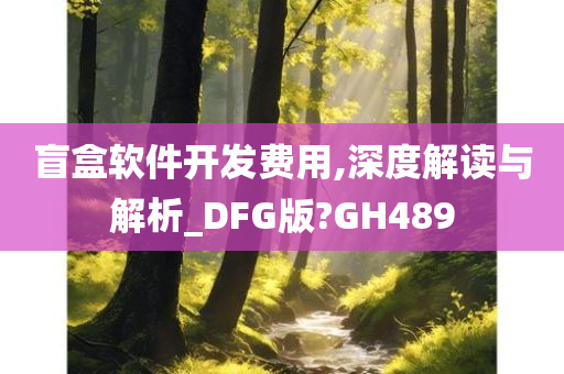 盲盒软件开发费用,深度解读与解析_DFG版?GH489