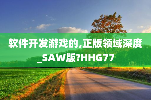 软件开发游戏的,正版领域深度_SAW版?HHG77