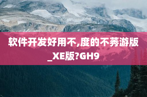 软件开发好用不,度的不莠游版_XE版?GH9