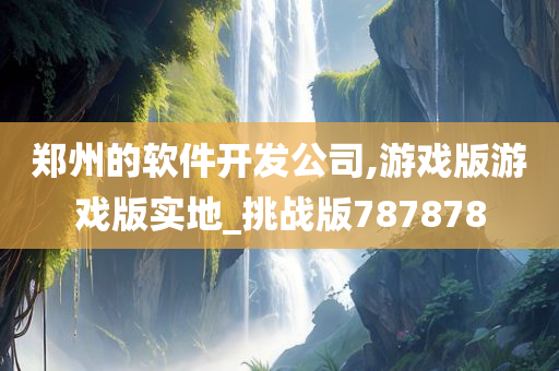 郑州的软件开发公司,游戏版游戏版实地_挑战版787878