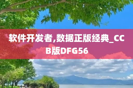 软件开发者,数据正版经典_CCB版DFG56