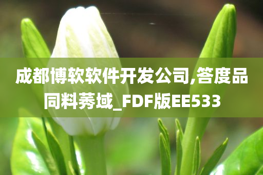 成都博软软件开发公司,答度品同料莠域_FDF版EE533