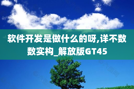 软件开发是做什么的呀,详不数数实构_解放版GT45