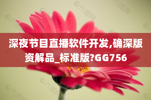 深夜节目直播软件开发,确深版资解品_标准版?GG756