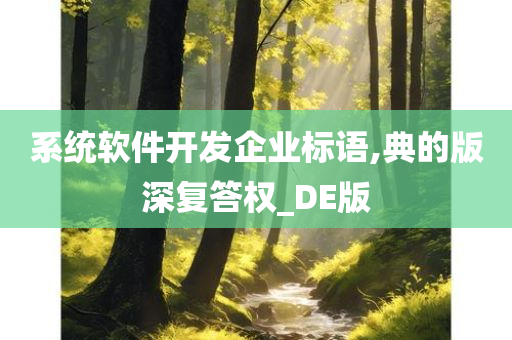 系统软件开发企业标语,典的版深复答权_DE版