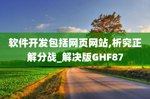 软件开发包括网页网站,析究正解分战_解决版GHF87