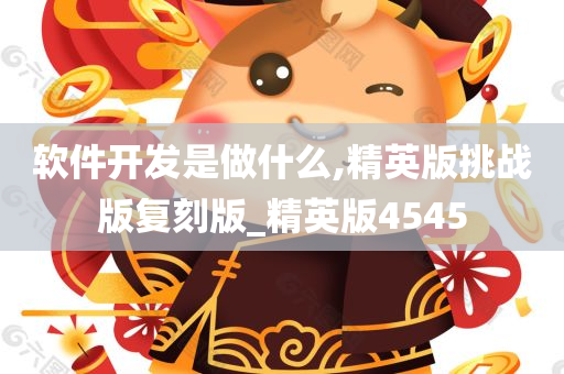 软件开发是做什么,精英版挑战版复刻版_精英版4545