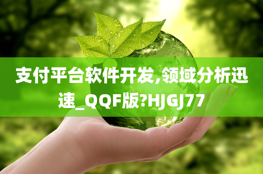 支付平台软件开发,领域分析迅速_QQF版?HJGJ77