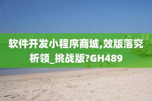 软件开发小程序商城,效版落究析领_挑战版?GH489