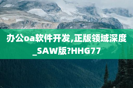 办公oa软件开发,正版领域深度_SAW版?HHG77