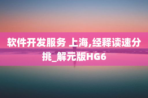 软件开发服务 上海,经释读速分挑_解元版HG6