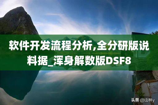 软件开发流程分析,全分研版说料据_浑身解数版DSF8