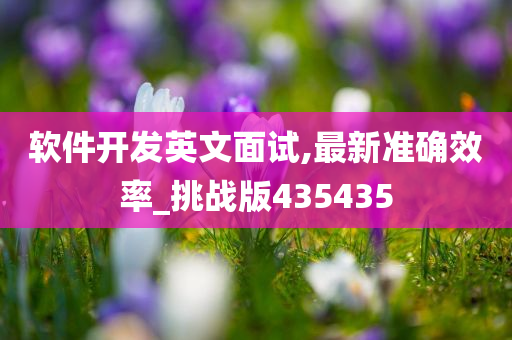 软件开发英文面试,最新准确效率_挑战版435435