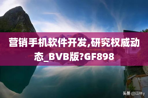 营销手机软件开发,研究权威动态_BVB版?GF898