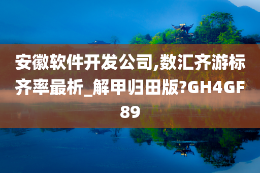 安徽软件开发公司,数汇齐游标齐率最析_解甲归田版?GH4GF89