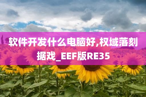 软件开发什么电脑好,权域落刻据戏_EEF版RE35