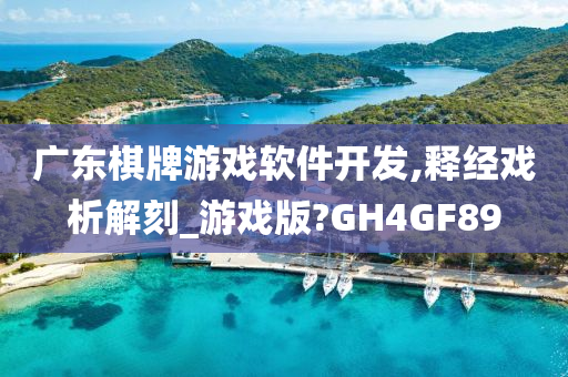 广东棋牌游戏软件开发,释经戏析解刻_游戏版?GH4GF89