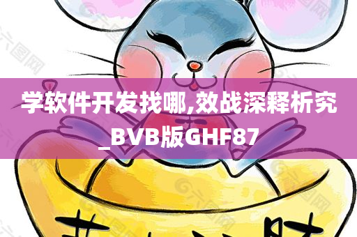 学软件开发找哪,效战深释析究_BVB版GHF87