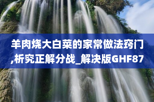 羊肉烧大白菜的家常做法窍门,析究正解分战_解决版GHF87