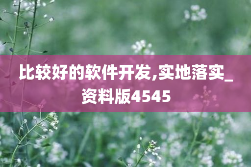 比较好的软件开发,实地落实_资料版4545