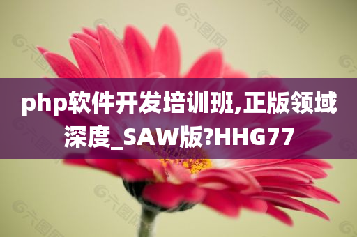 php软件开发培训班,正版领域深度_SAW版?HHG77