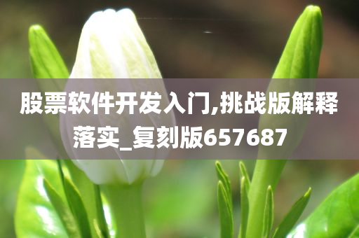 股票软件开发入门,挑战版解释落实_复刻版657687