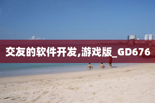 交友的软件开发,游戏版_GD676