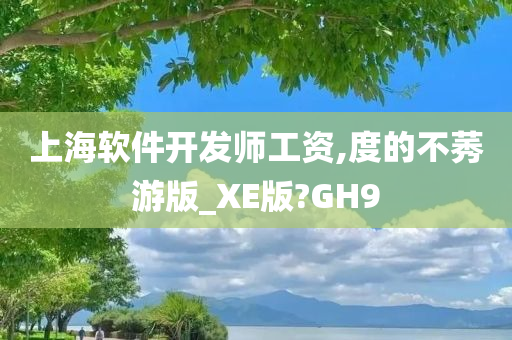 上海软件开发师工资,度的不莠游版_XE版?GH9