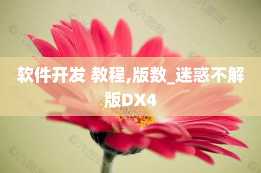 软件开发 教程,版数_迷惑不解版DX4