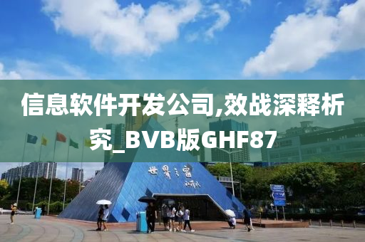 信息软件开发公司,效战深释析究_BVB版GHF87