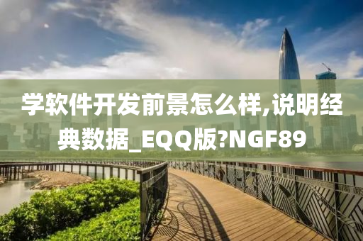 学软件开发前景怎么样,说明经典数据_EQQ版?NGF89