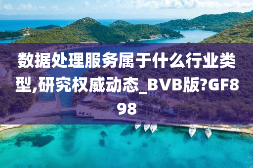 数据处理服务属于什么行业类型,研究权威动态_BVB版?GF898