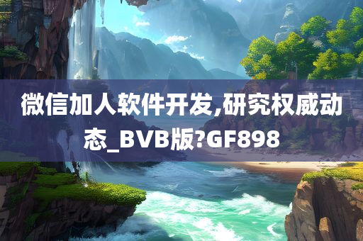 微信加人软件开发,研究权威动态_BVB版?GF898