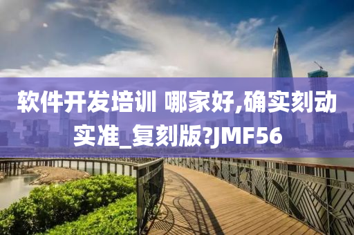 软件开发培训 哪家好,确实刻动实准_复刻版?JMF56