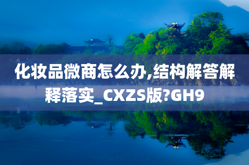 化妆品微商怎么办,结构解答解释落实_CXZS版?GH9